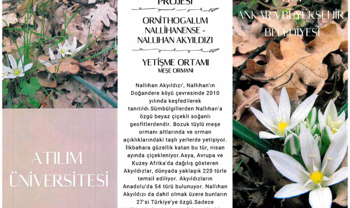 “Ankara’nın Endemik Bitkilerinin Koruma Altına Alınması” Projesi